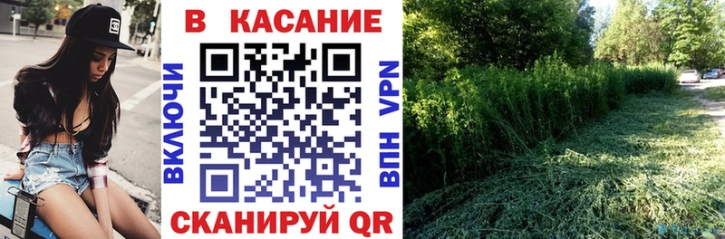 Купить наркотики цена Камышин Кокаин  МЕФ  ГАШИШ  СОЛЬ  Каннабис 