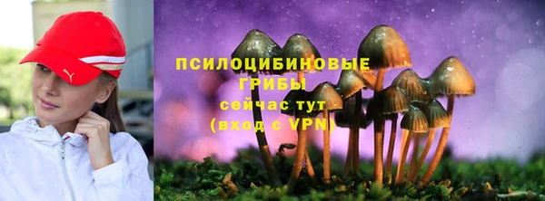 шишки Алексин