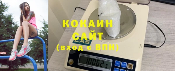 шишки Алексин