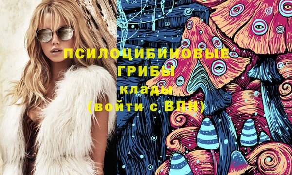 соль ск Алексеевка
