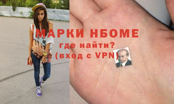 шишки Алексин