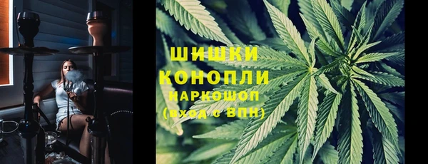 шишки Алексин