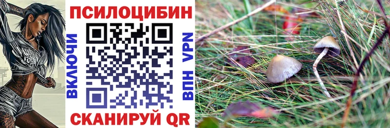 Галлюциногенные грибы прущие грибы  Камышин 